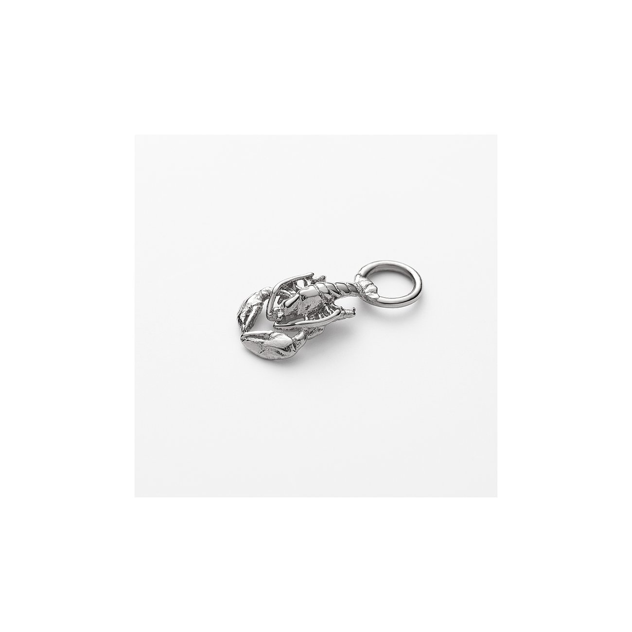 Paul Hewitt Charm PH-JE-0440