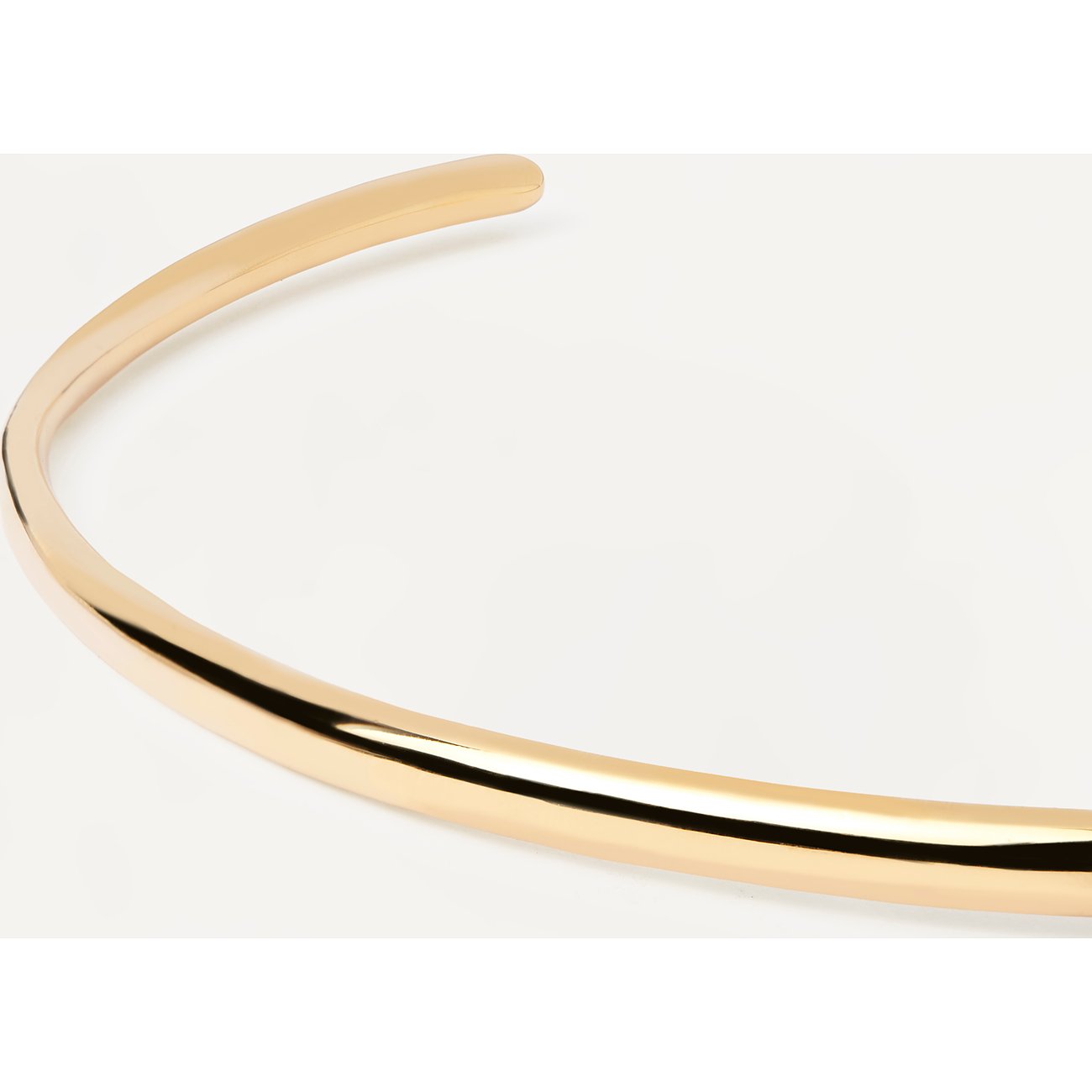 PdPaola Halsreif Motion CO01-387-U