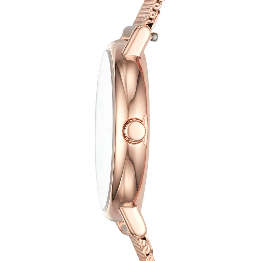 Skagen Damenuhr SKW2694