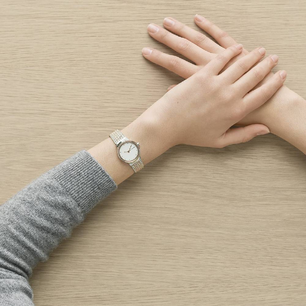 Skagen Damenuhr SKW2699