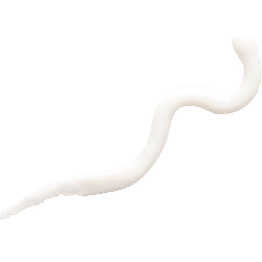 Alterna Anti-Frizz