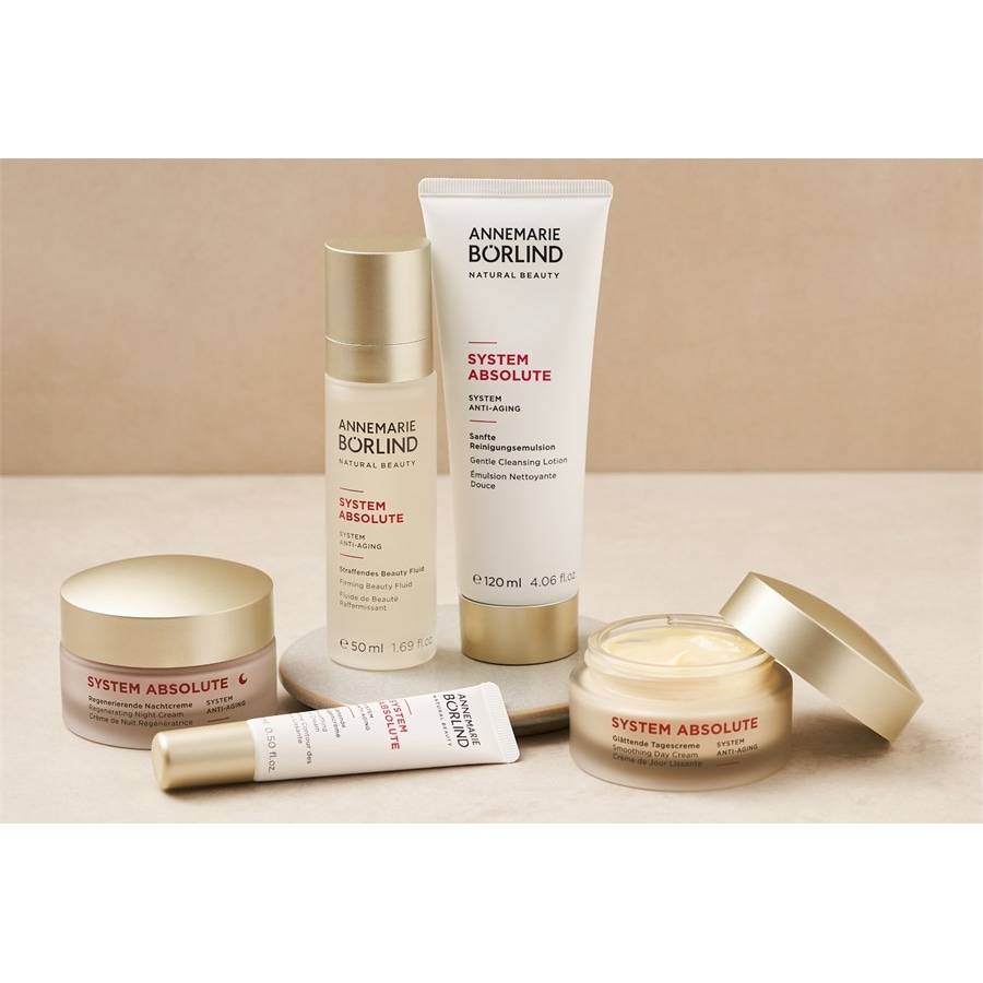 ANNEMARIE-BOeRLIND SYSTEM ABSOLUTE