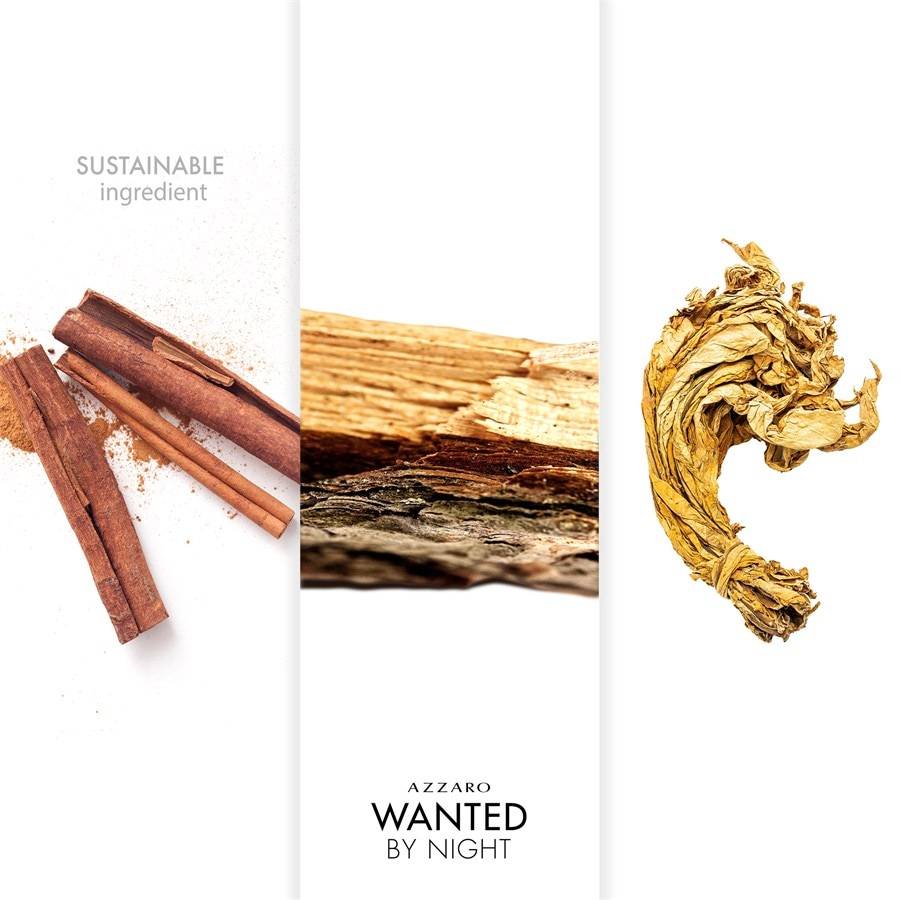 Azzaro Wanted