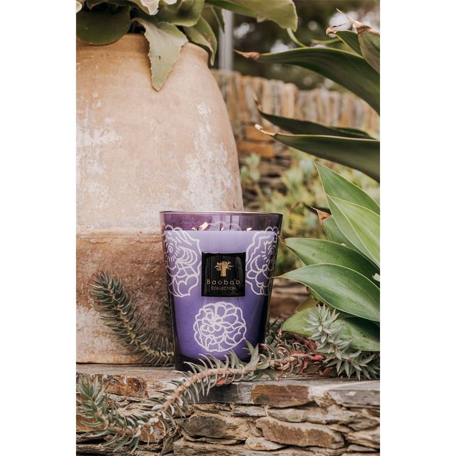 Baobab Duftkerzen