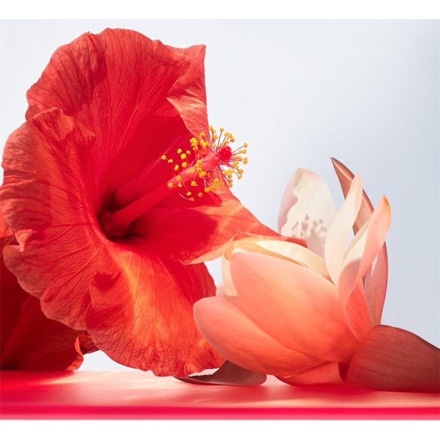 Bvlgari Omnia