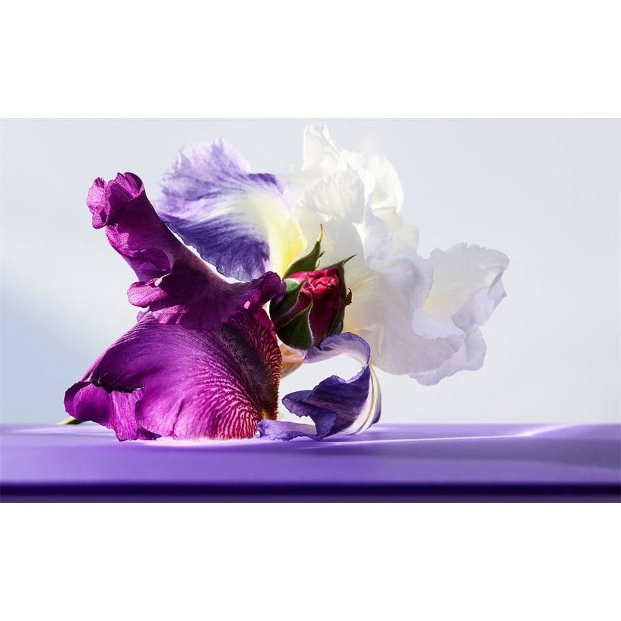 Bvlgari Omnia