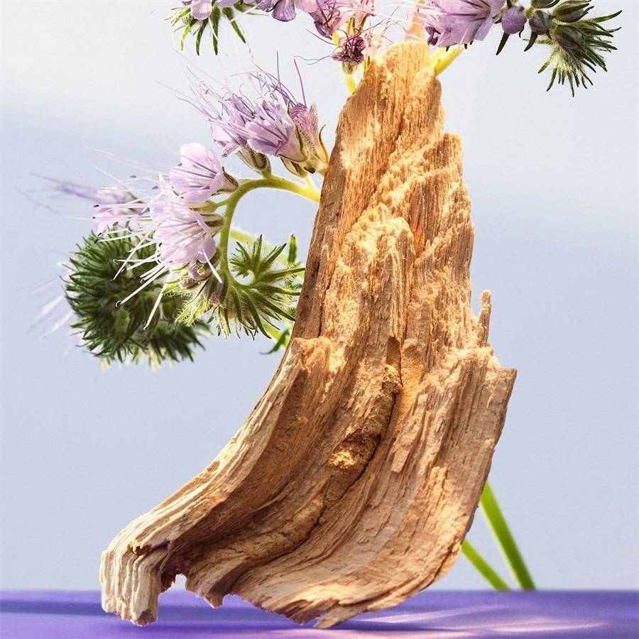 Bvlgari Omnia