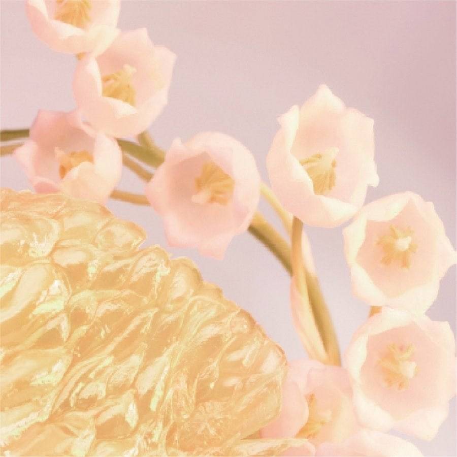 Bvlgari Rose Goldea