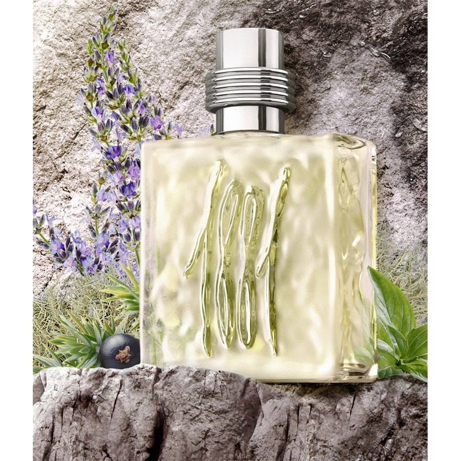 Cerruti Cerruti 1881 Pour Homme