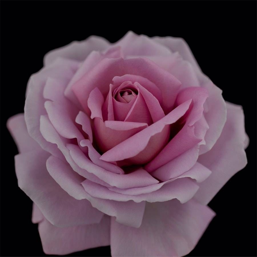 Cle-de-Peau-Beaute Pflege