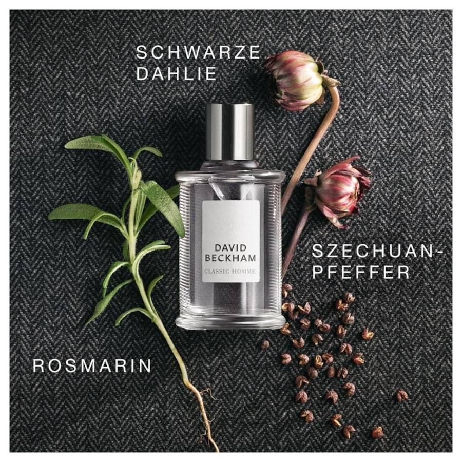 David-Beckham Classic Homme