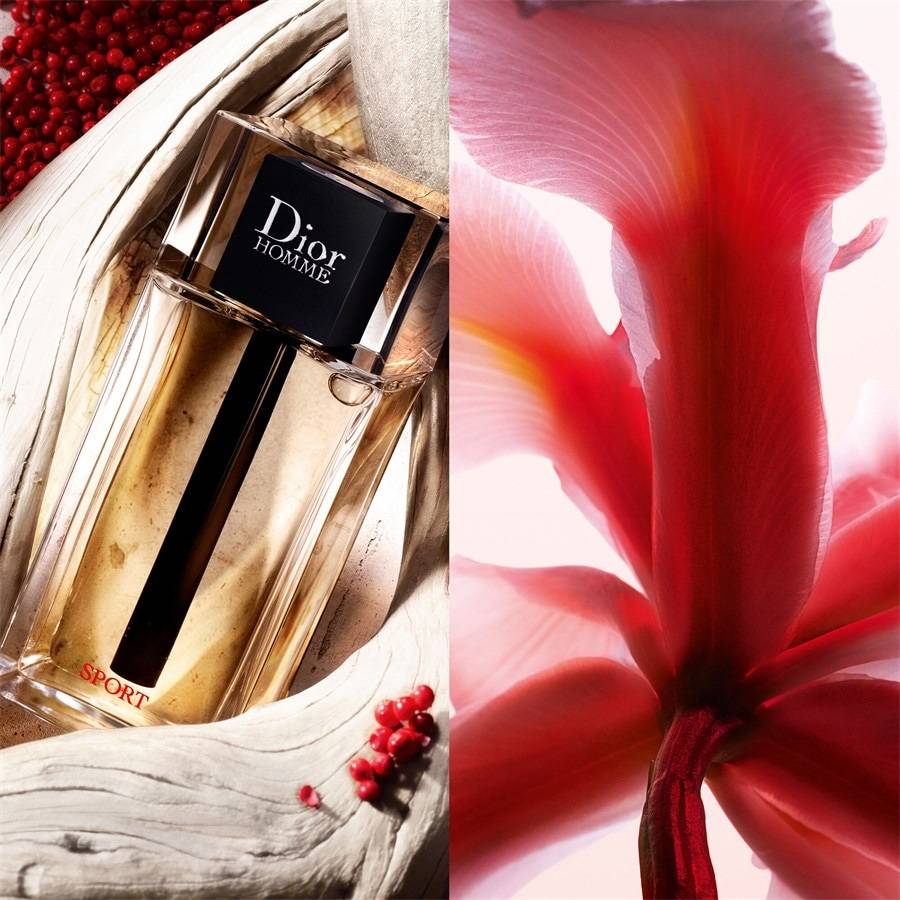 DIOR Dior Homme