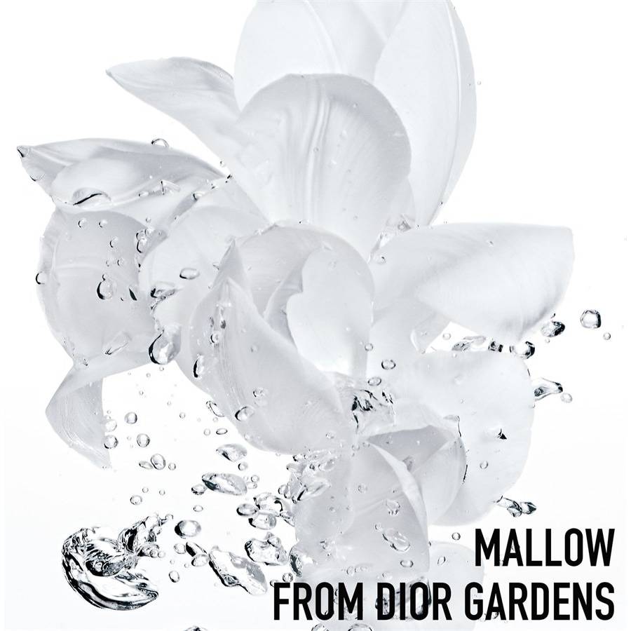 DIOR Dior Hydra Life
