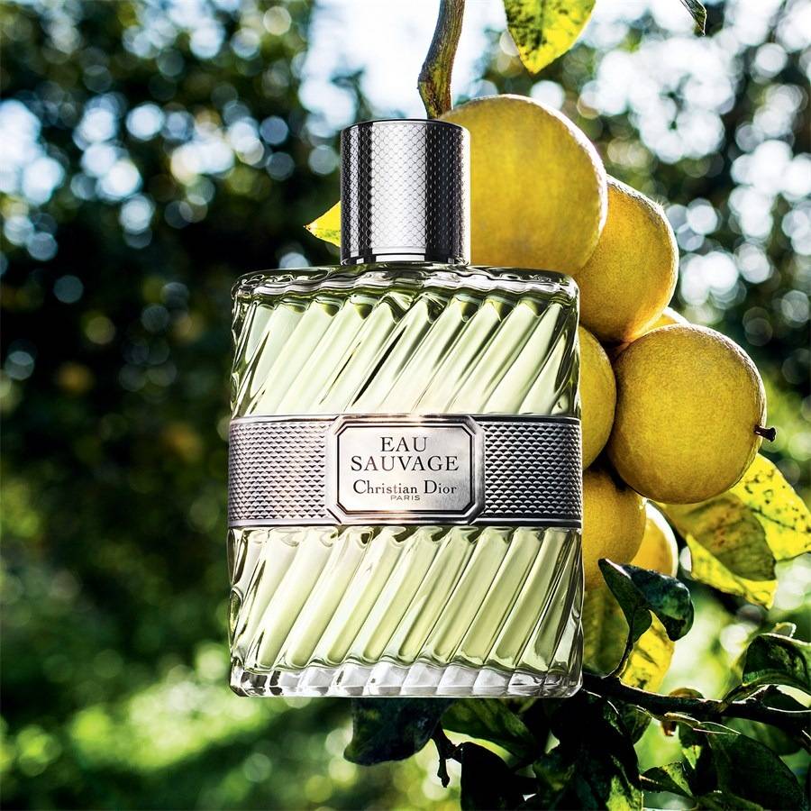 DIOR Eau Sauvage
