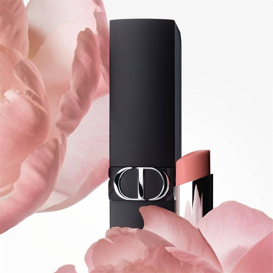 DIOR Lippenstifte