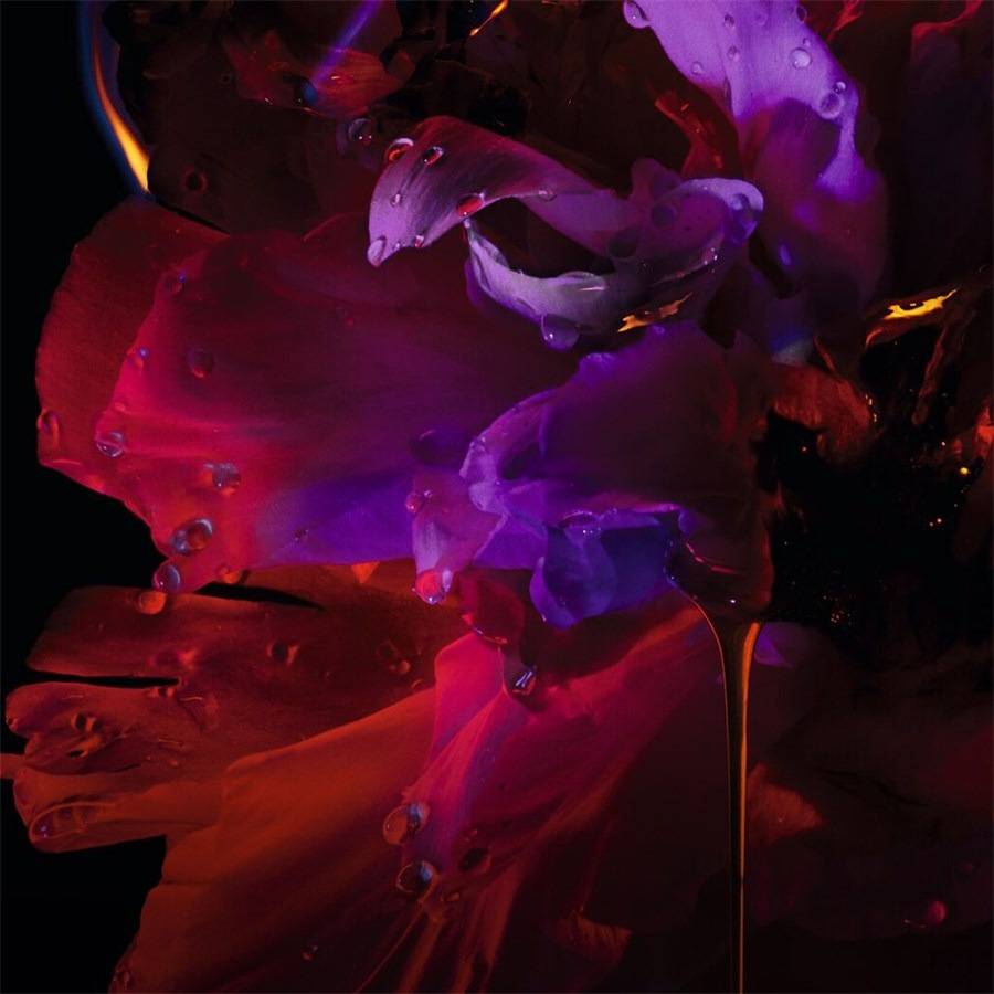 DIOR Poison