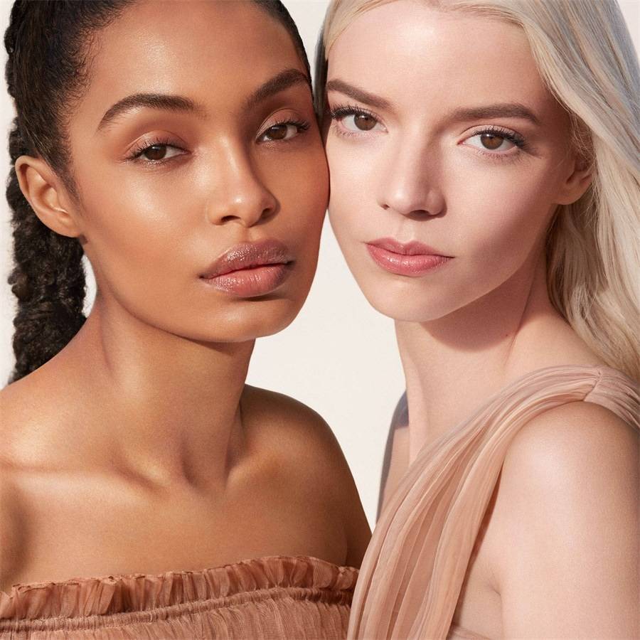DIOR Primer