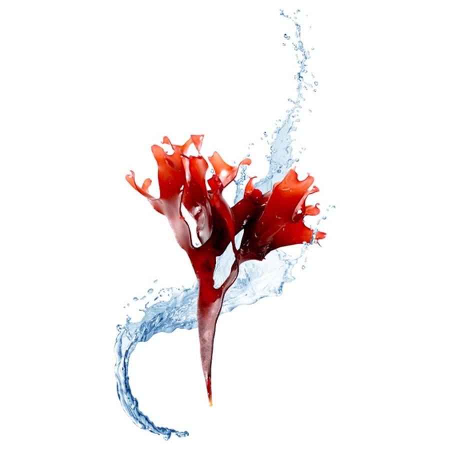 Foreo Maskenbehandlung