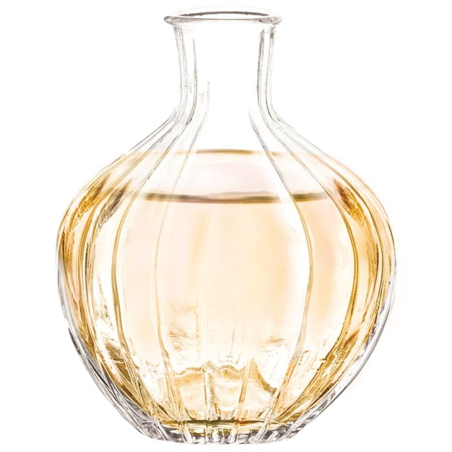 GARNIER Argan- & Camelia-Öl