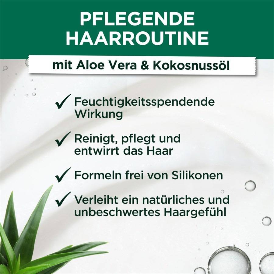 GARNIER Fructis