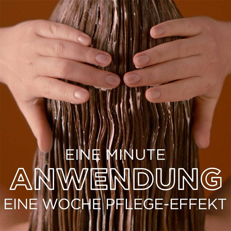 GARNIER Honig Schätze