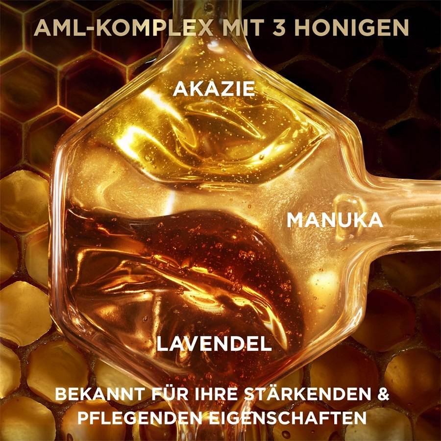 GARNIER Honig Schätze
