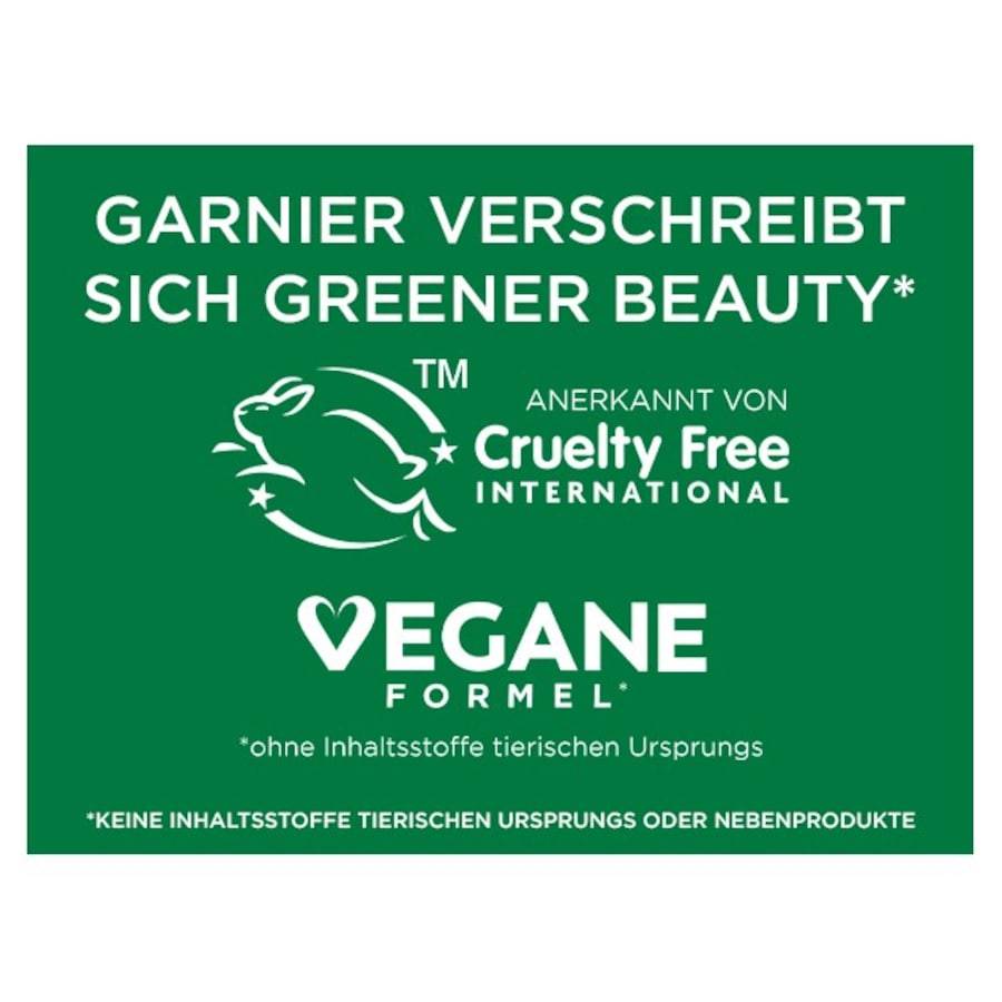 GARNIER Skin Active