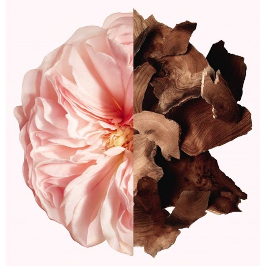 GIVENCHY New IRRÉSISTIBLE