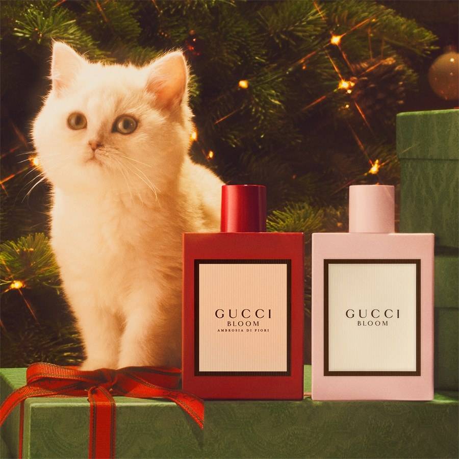 Gucci Gucci Bloom