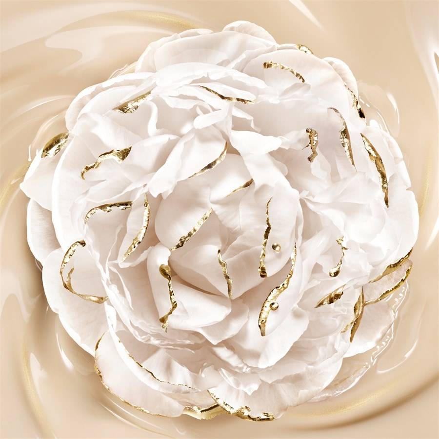 GUERLAIN Teint
