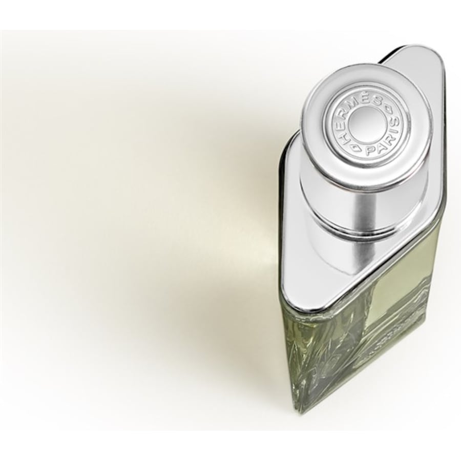 Hermes H24