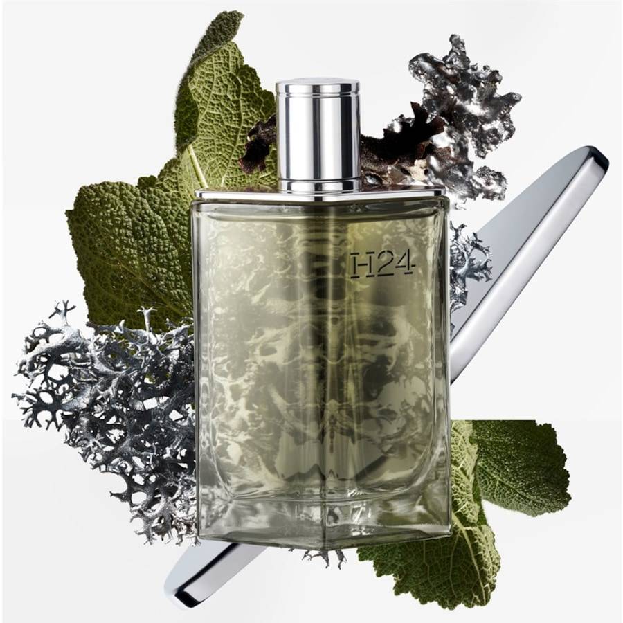 Hermes H24