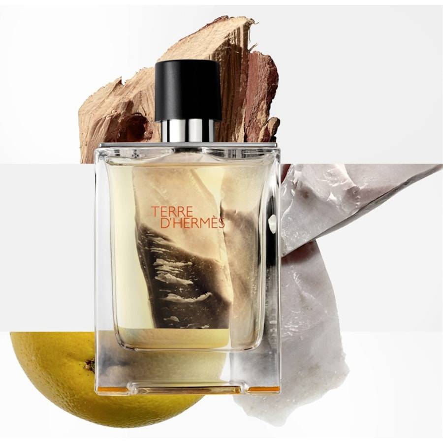 Hermes Terre D'Hermès