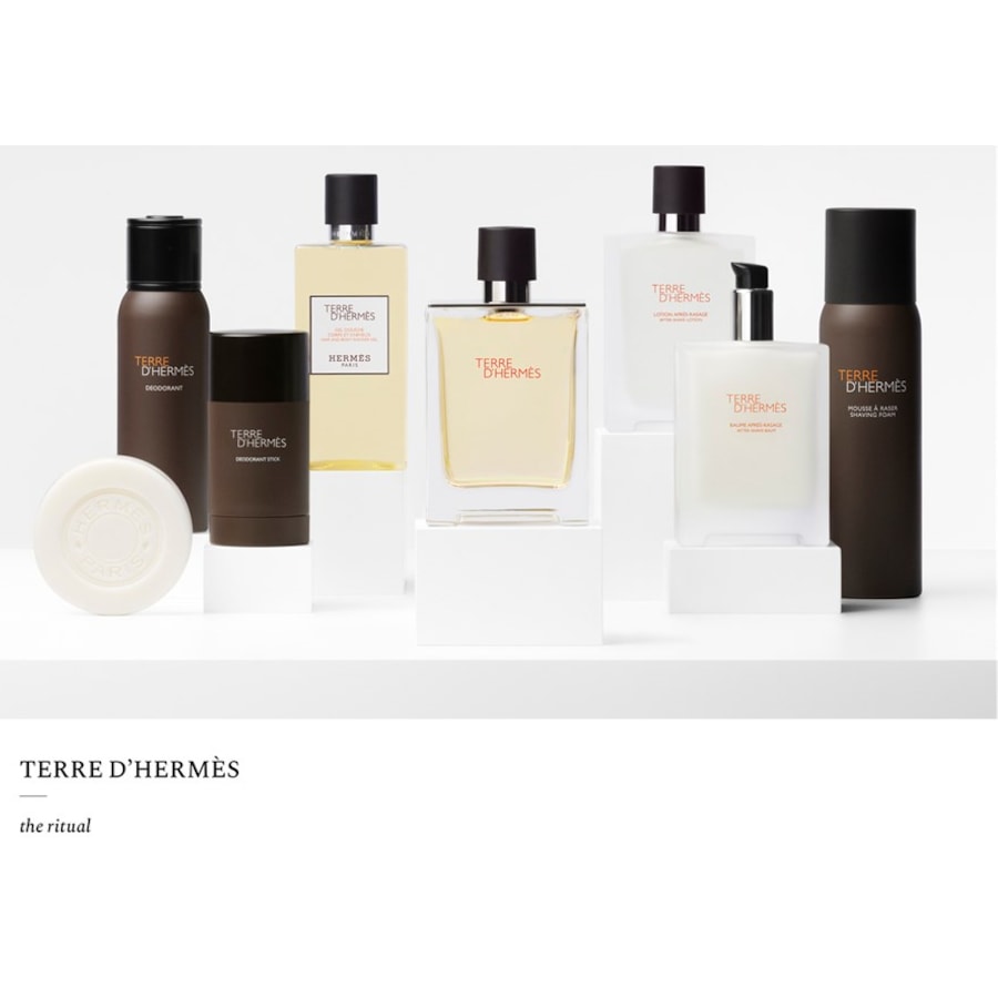 Hermes Terre D'Hermès