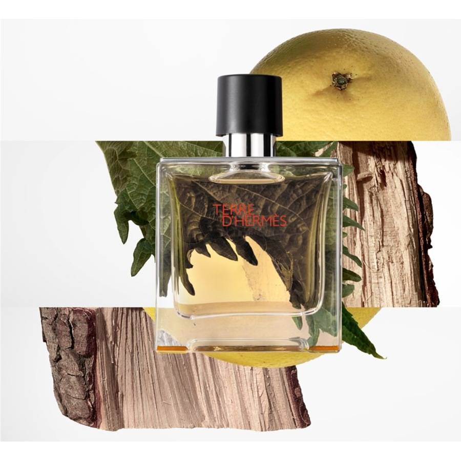 Hermes Terre D'Hermès