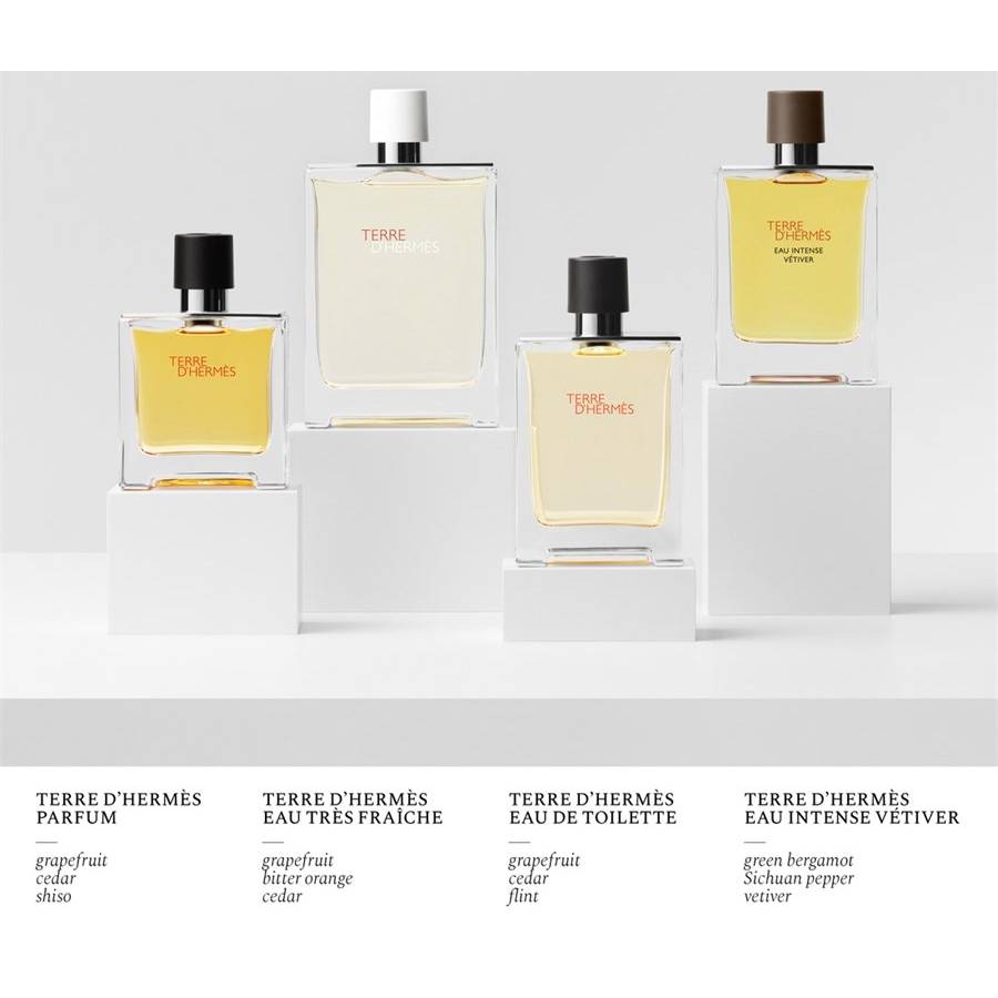 Hermes Terre D'Hermès