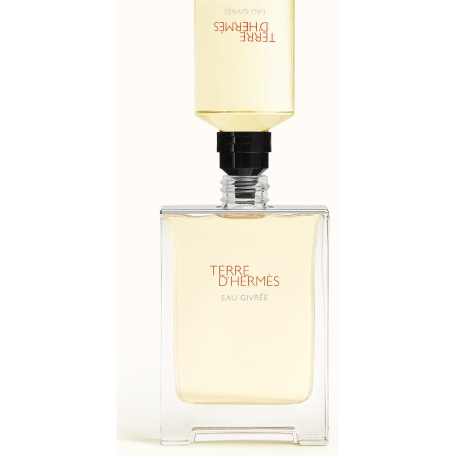 Hermes Terre D'Hermès