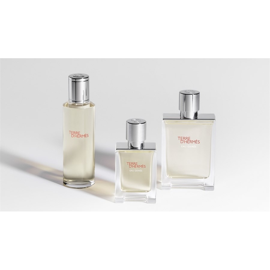 Hermes Terre D'Hermès