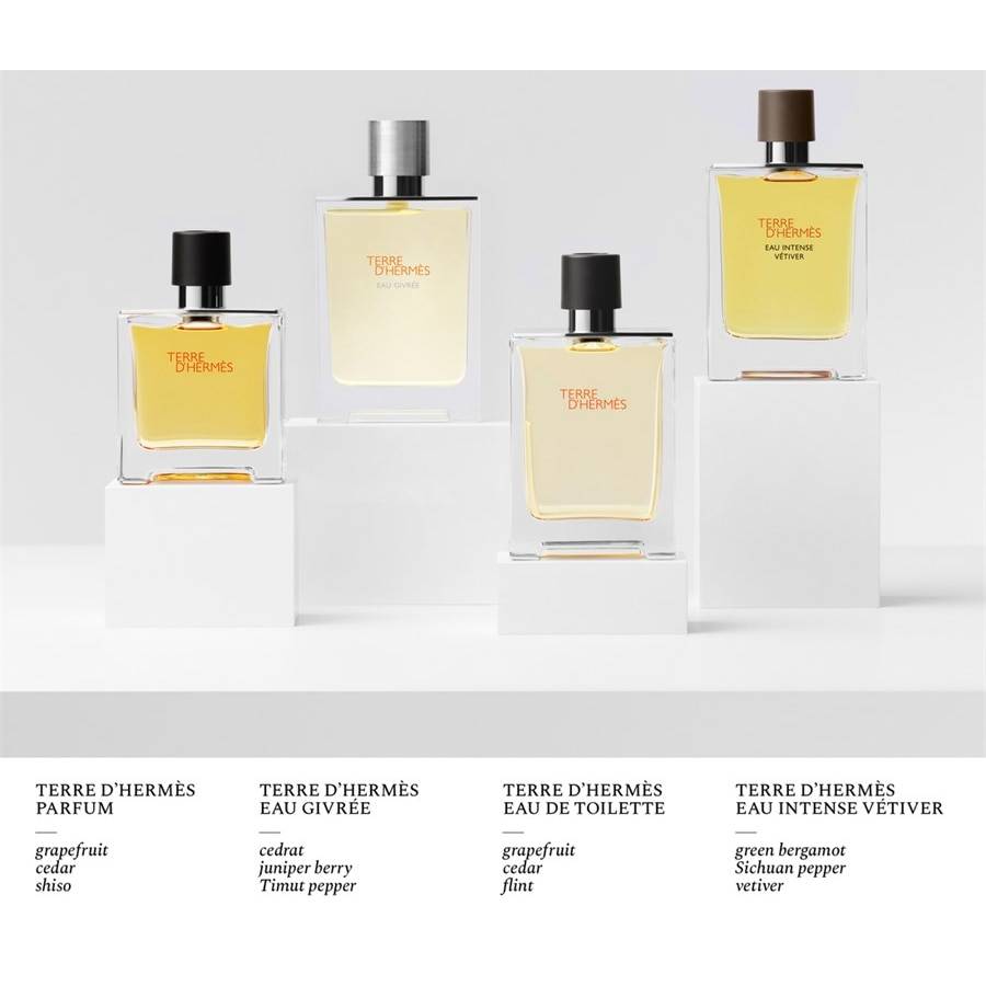 Hermes Terre D'Hermès