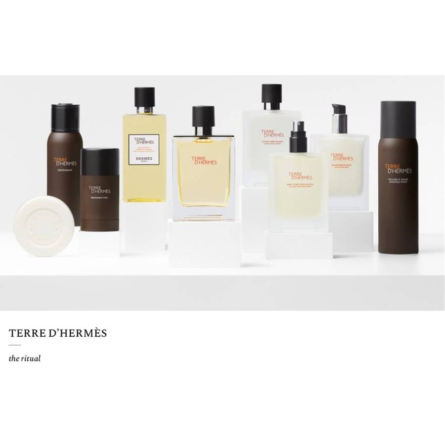Hermes Terre D'Hermès