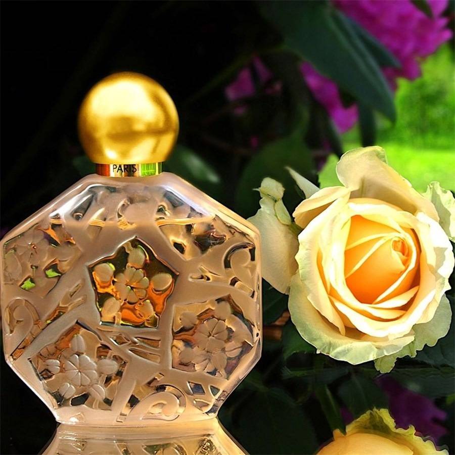 Jean-Charles-Brosseau Ombre Rose