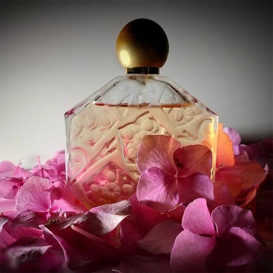Jean-Charles-Brosseau Ombre Rose
