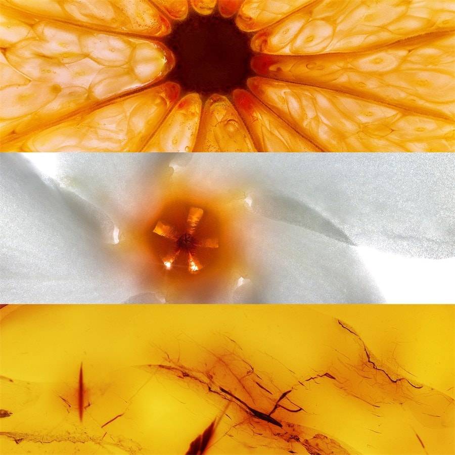 Jil-Sander Sun