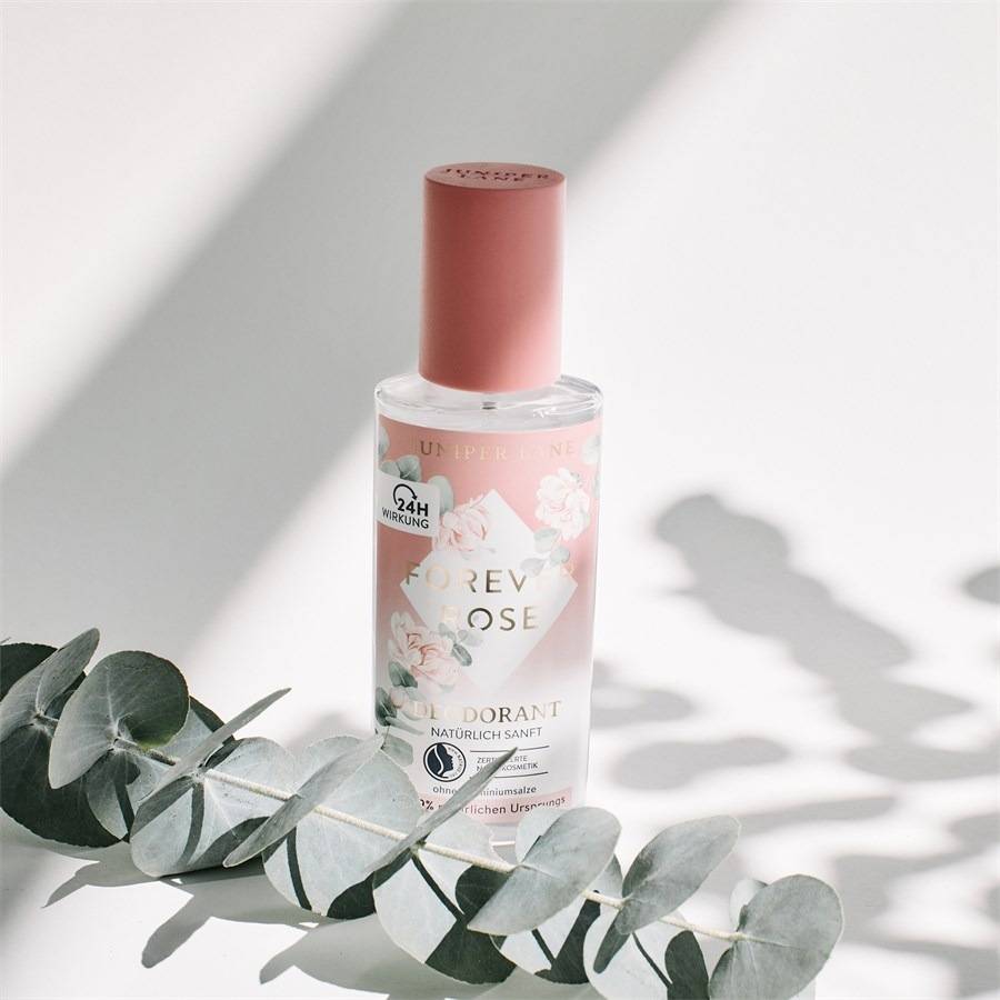 Juniper-Lane Forever Rose