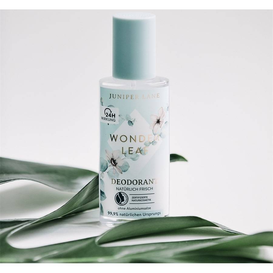 Juniper-Lane Wonderleaf