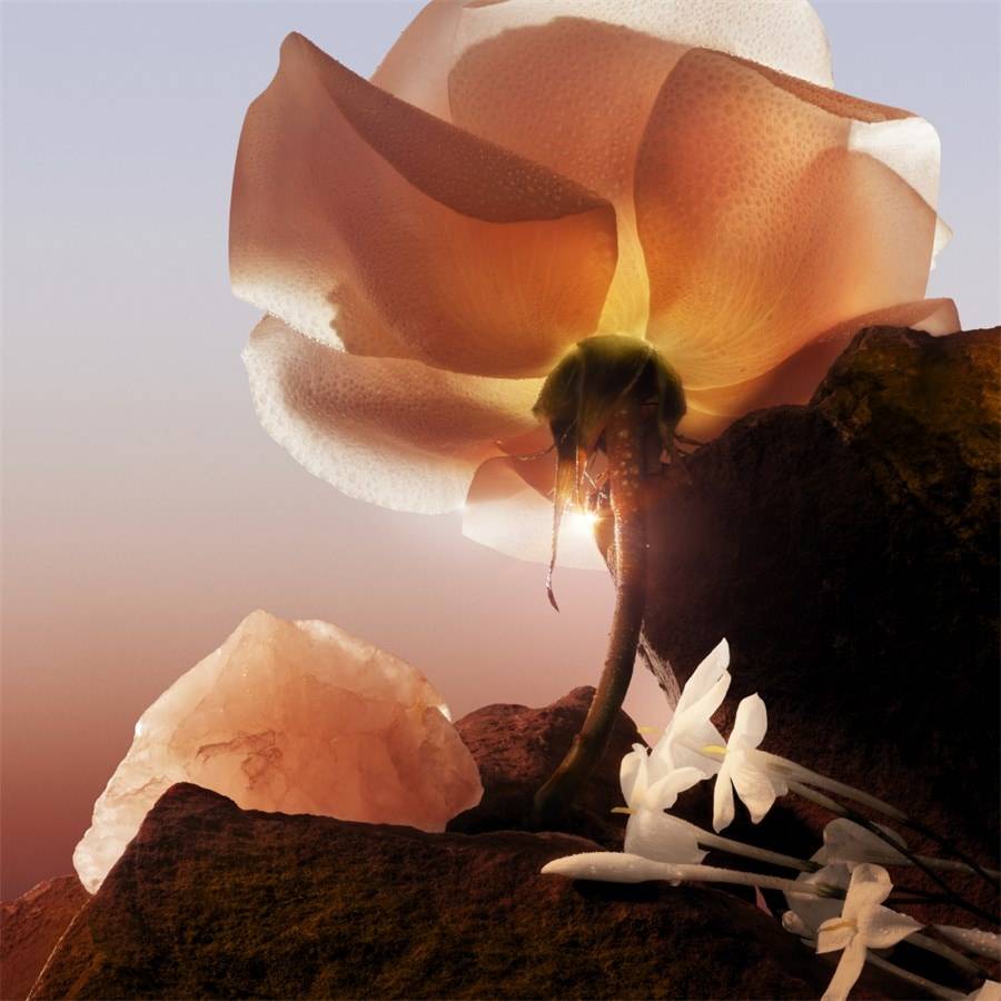 Lancome Idôle