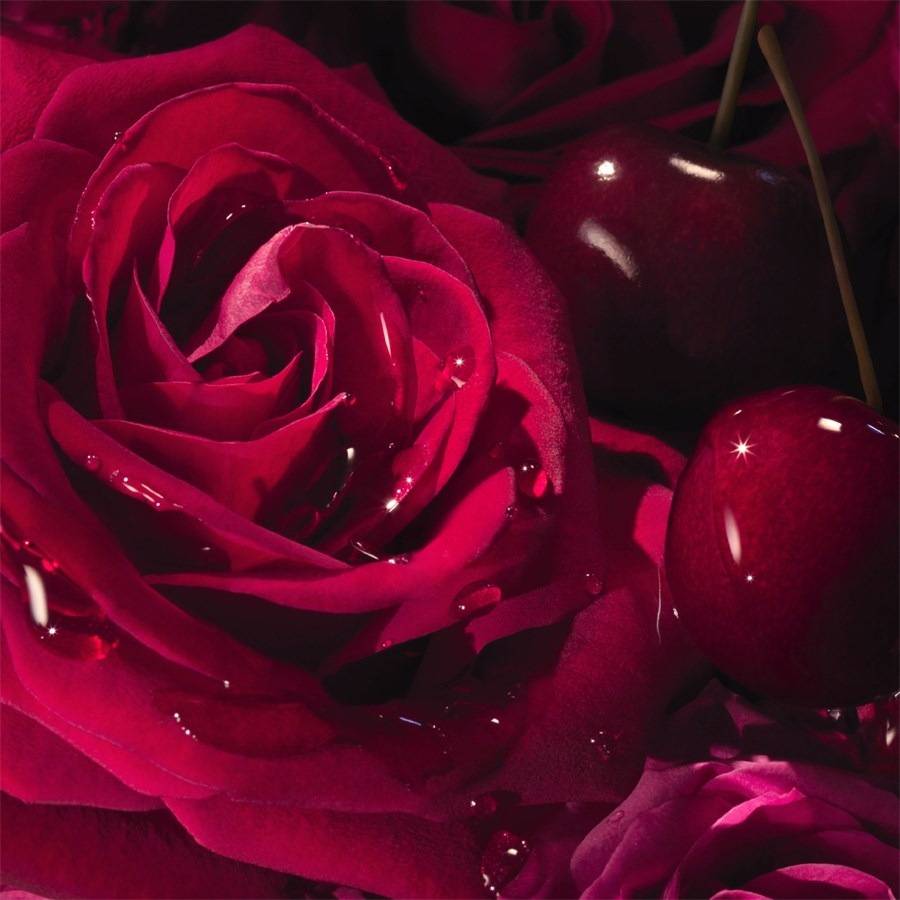Lancome La Nuit Trésor
