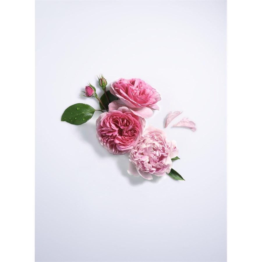 Lancome Maison Lancôme