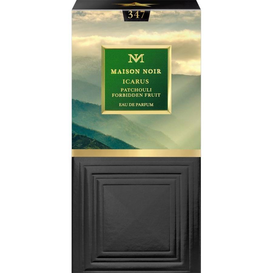 Maison-Noir Icarus 347