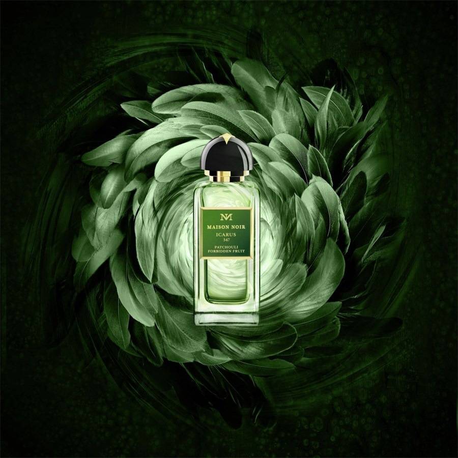 Maison-Noir Icarus 347
